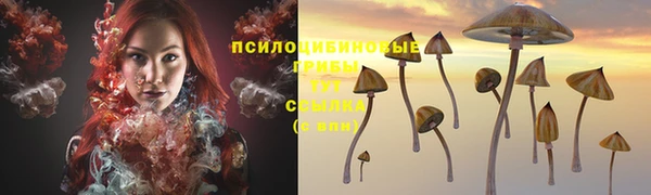 кокаин Арсеньев